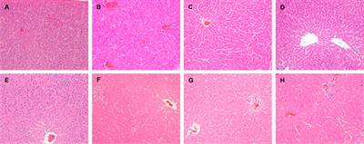 Corrigendum: Inflammatory Stress Potentiates Emodin-Induced Liver Injury in Rats